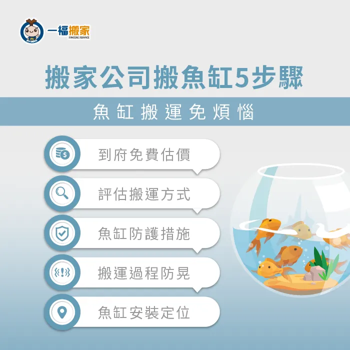 搬家公司能透過豐富搬家經驗,規劃合適的搬魚缸流程 搬家公司搬魚缸5步驟-搬家魚缸怎麼辦