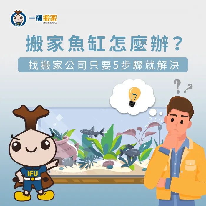 魚缸增加搬家困難度,交給搬家公司幫你順利搬運! 搬家魚缸怎麼辦-搬家公司搬魚缸